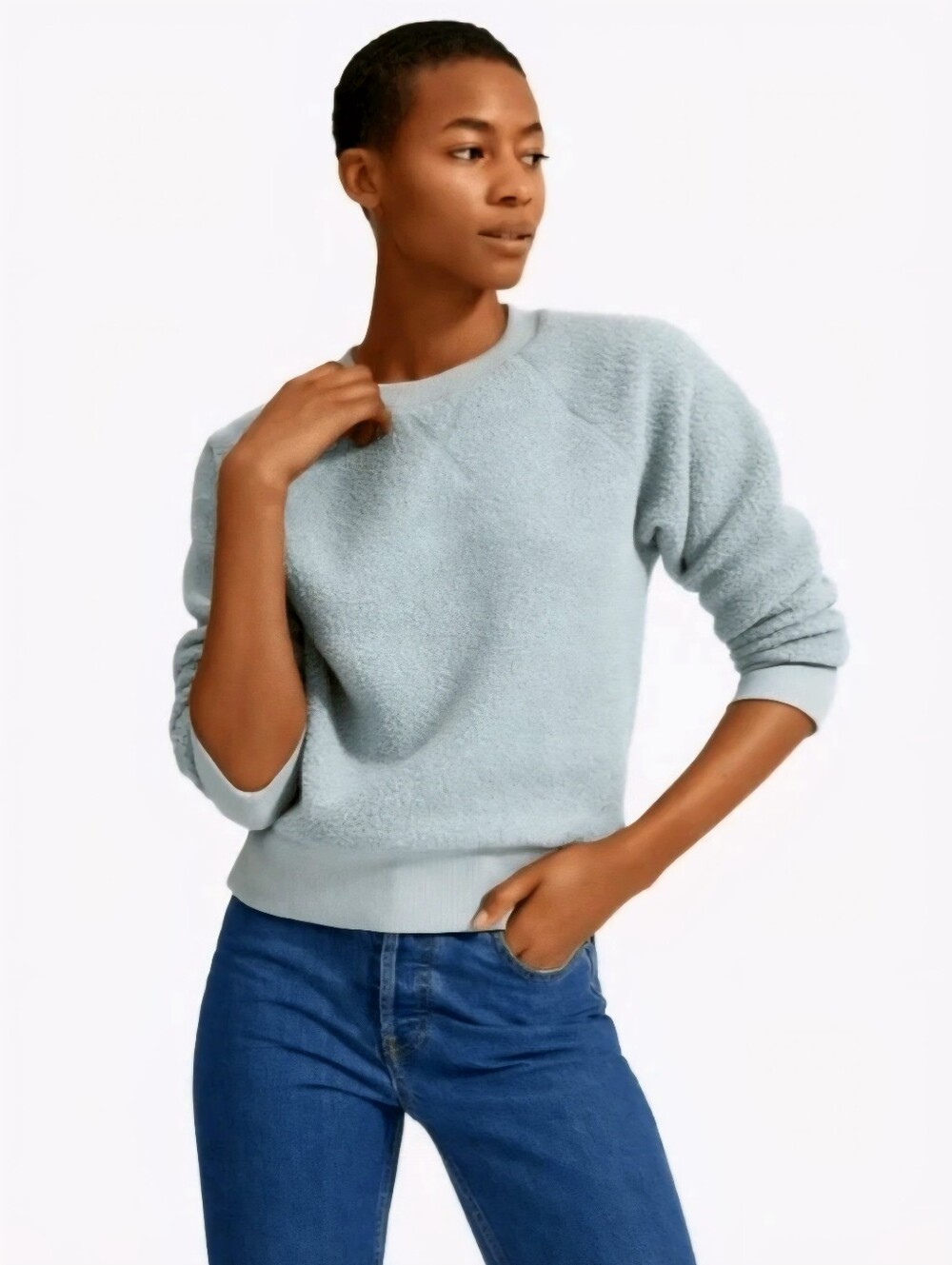 ​Everlane ReNew Fleece Crewneck Sweatshirt Light Blue Size L